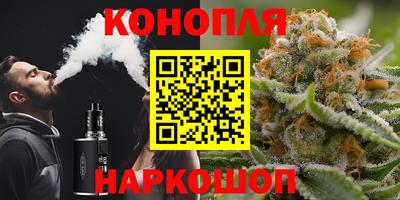 мдпв Партизанск